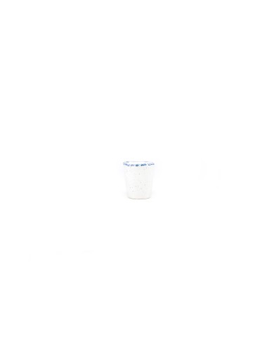 Nazaré Expresso Cup