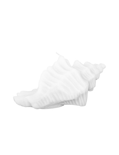 Large Conch