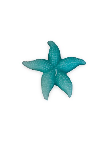 Medium Starfish